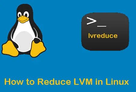 reduce linux lvm size